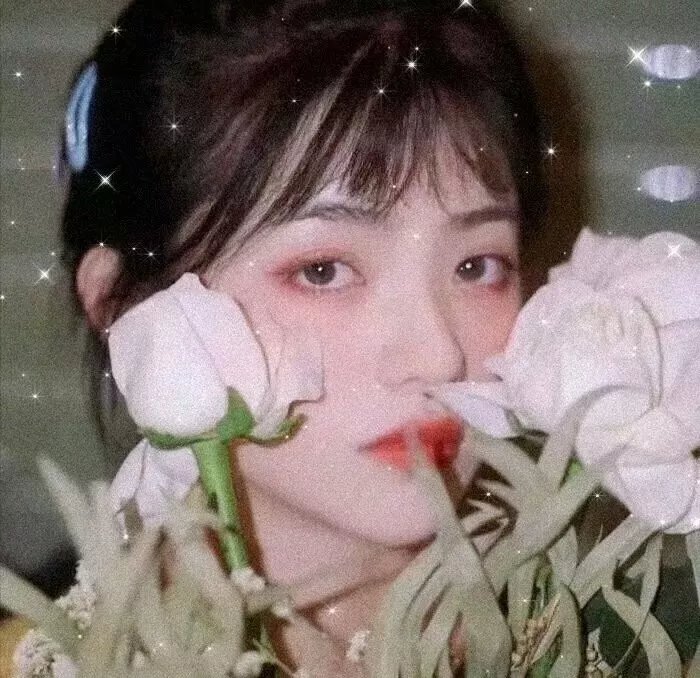 新摄青鬼