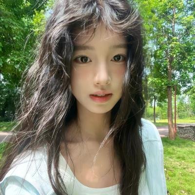 血鲨