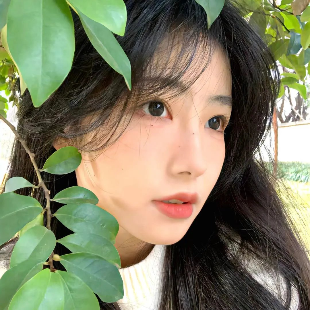 龙神之子